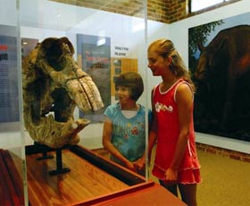 Australian Museum Diprotodon Exhibition - Attractions 0