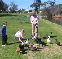 Roy Little Park Merredin - Attractions