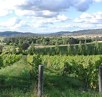 Sassy Wines - Attractions