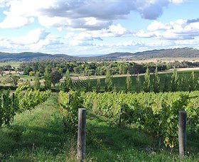 Sassy Wines - Attractions 0