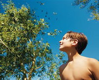 Birdwatching on Keswick Island