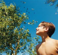 Bushwalking on Keswick Island - Attractions
