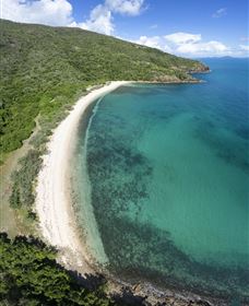 Connie Bay On Keswick Island - Attractions 2