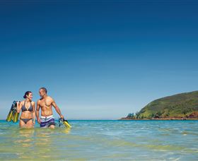 Snorkelling On Keswick Island - Attractions 0