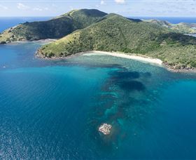 Snorkelling On Keswick Island - Attractions 2