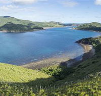 The Cremer Shipwreck Dive Site - Keswick Island - Attractions