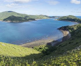 The Cremer Shipwreck Dive Site - Keswick Island - Attractions 0