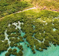 The Singapore Shipwreck Dive Site - Keswick Island - Attractions