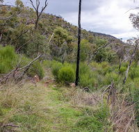 Lynchs loop trail - Attractions