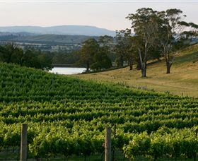 Granite Hills Winery - Attractions 0