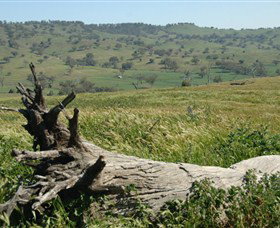 Self Drive Geology And Nature Trails - Attractions 3