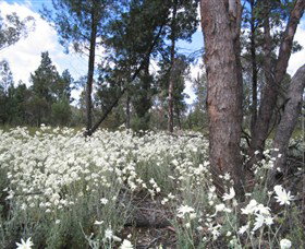 Self Drive Geology And Nature Trails - Attractions 4