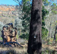 Eualdrie walking track - Attractions