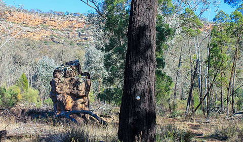 Eualdrie Walking Track - Attractions 0