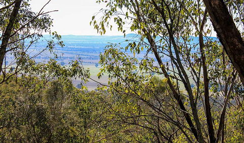 Eualdrie Walking Track - Attractions 2
