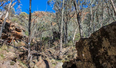 Eualdrie Walking Track - Attractions 3