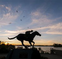 Black Caviar Statue - Attractions