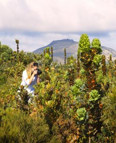 Fitzgerald River National Park - Attractions 2