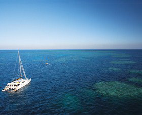 Bait Reef and Garys Lagoon Dive Site Whitsundays