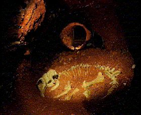 Wellington Caves And Phosphate Mine - Attractions 2