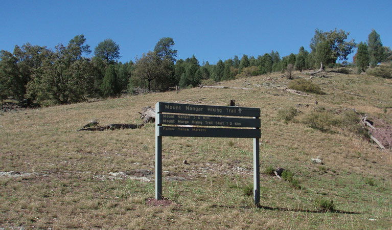 Eugowra NSW Attractions
