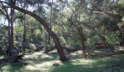 Mount Nangar Walking Track - Attractions 1