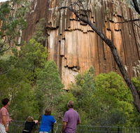 Sawn Rocks walking track - Attractions