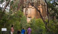 Sawn Rocks walking track