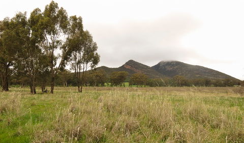 The Rock Nature Reserve - Kengal Aboriginal Place - Attractions 2