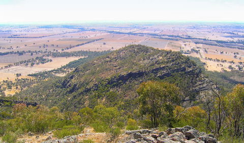 The Rock Nature Reserve - Kengal Aboriginal Place - Attractions 3