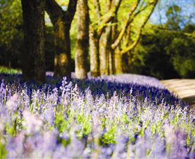 Duneira, Mt Macedon - Attractions 4