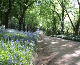 Duneira, Mt Macedon - Attractions 3