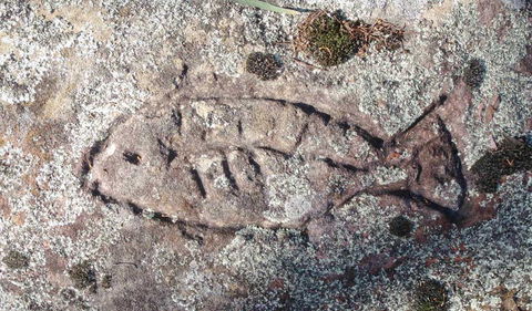 Terry Hie Hie Aboriginal Area - Attractions 3