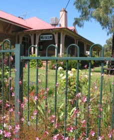 Dunedoo Local Museum - Attractions 0