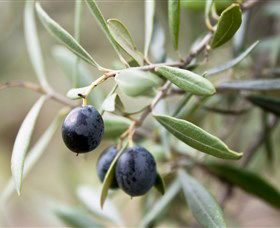 Wollundry Grove Olives - Attractions 2