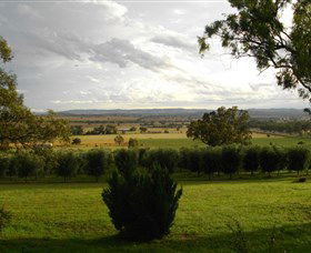 Wollundry Grove Olives - Attractions 1