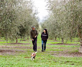 Wollundry Grove Olives - Attractions 3