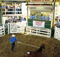 Gracemere Exhibition Complex - Attractions