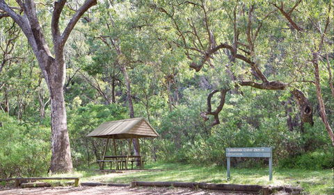 Green Camp - Attractions 1