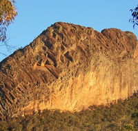 Kaputar scenic drive - Attractions