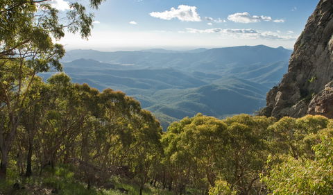 Kaputar Scenic Drive - Attractions 1
