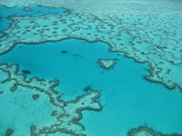 Heart Reef