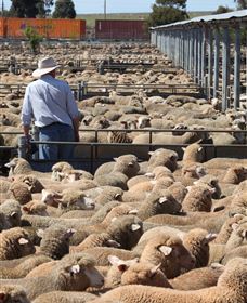 Livestock Marketing Centre - Attractions 0