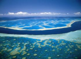 Hardy Reef - Attractions 0