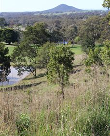 Mt Piper Nature Conservation Reserve - Attractions 1