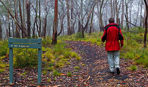 Mount Kaputar Summit Walk - Attractions 2