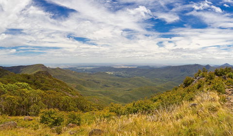 Mount Kaputar Summit Walk - Attractions 3