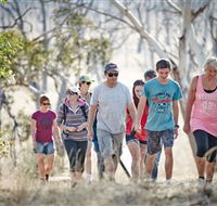 Winton Wetlands Reserve - Attractions
