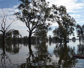 Doodle Cooma Swamp - Attractions 1