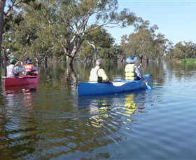 Doodle Cooma Swamp - Attractions 0
